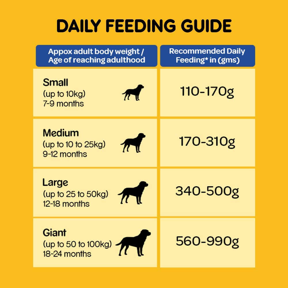 pets food online for dog Pedigree