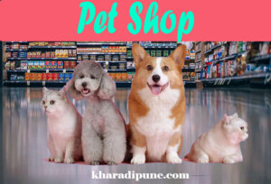 Pet Shops In Kharadi