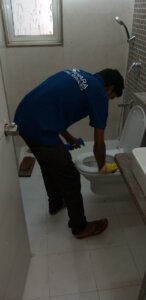 toilet deep cleaning