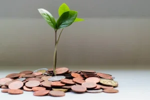 Before The Wallet, Read This: How To Protect Your Coins from Day One