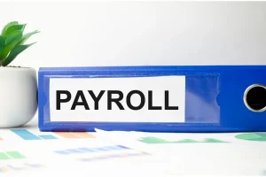 The Process of Making Payroll Invoices in UAE How Payroll Middle East Can Assist -