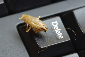 Cockroaches