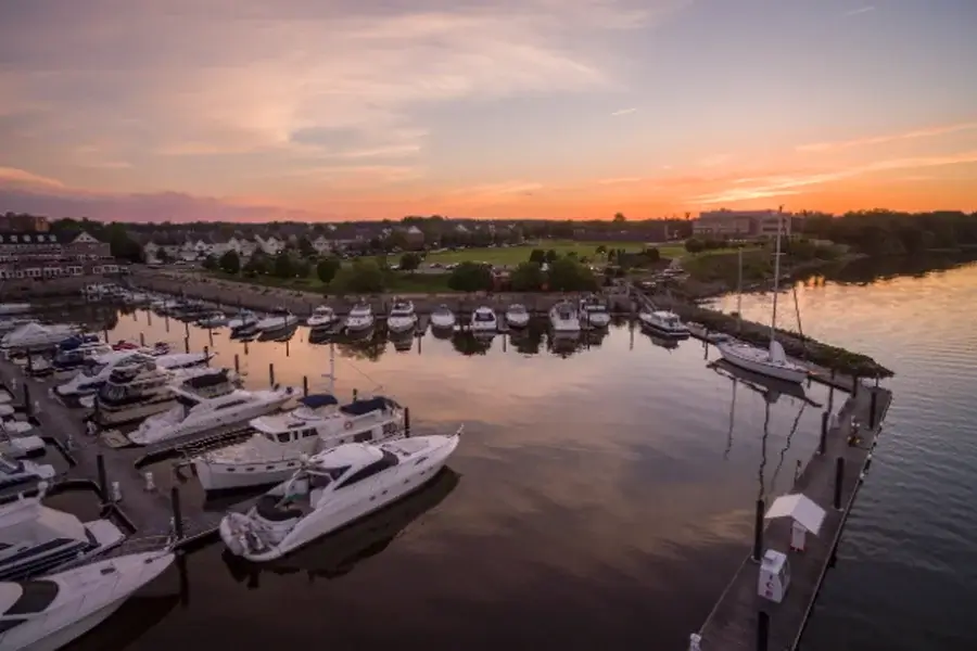 Best Restaurants for Out-of-Town Guests Visiting Woodbridge Woodbridge