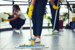 Cleaning Services