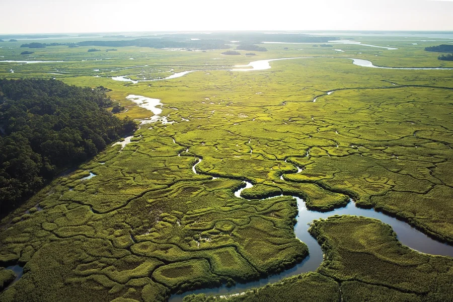 The Pulse of the Palmetto State: Exploring Pageland’s Rural Majesty