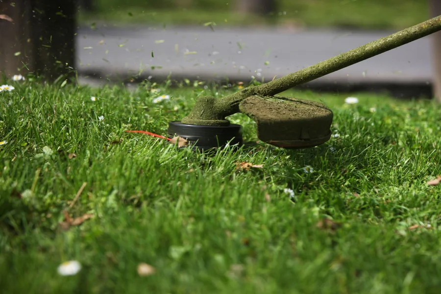 String Trimmers Complement Lawn Mowers