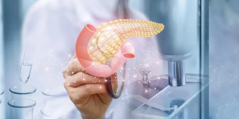 Pancreatitis Ayurveda Natural Treatments for Pancreatic Health: A Holistic Guide